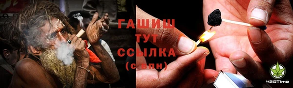 прущие грибы Лихославль