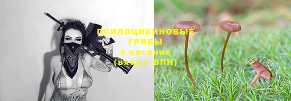 амф Алзамай