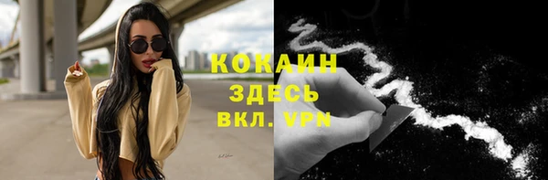 амф Алзамай