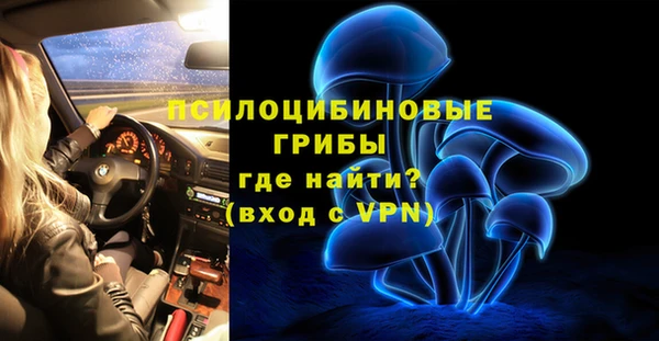амф Абаза