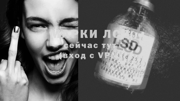 амф Алзамай