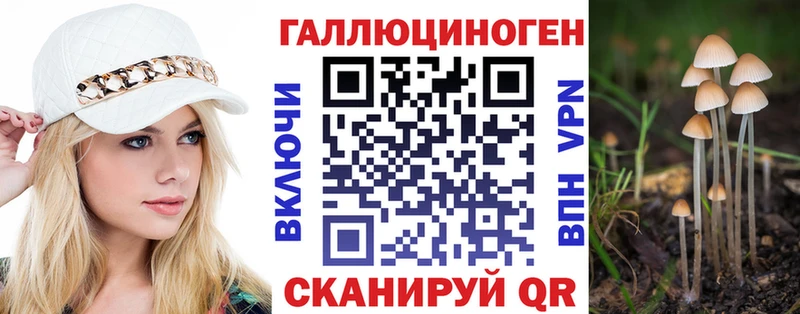 Галлюциногенные грибы Psilocybe  Рубцовск 